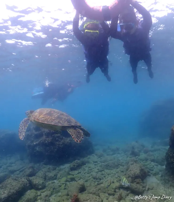 ▲2025屏東小琉球-浮潛、SUP/ 圖片來源：Betty's Jump Diary