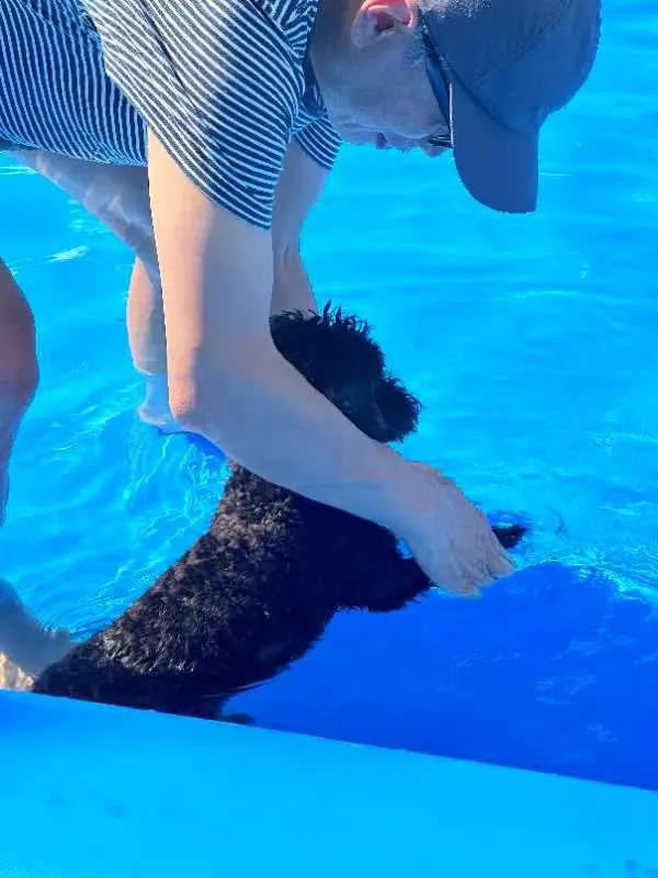 先讓點點試一下水溫