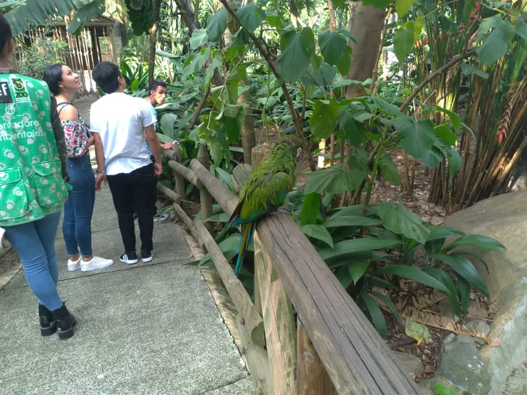 裡面也有鳥園，負責照顧不是在地的鳥類們，一樣提供了寬廣空間，讓遊客和鳥類近距離接觸