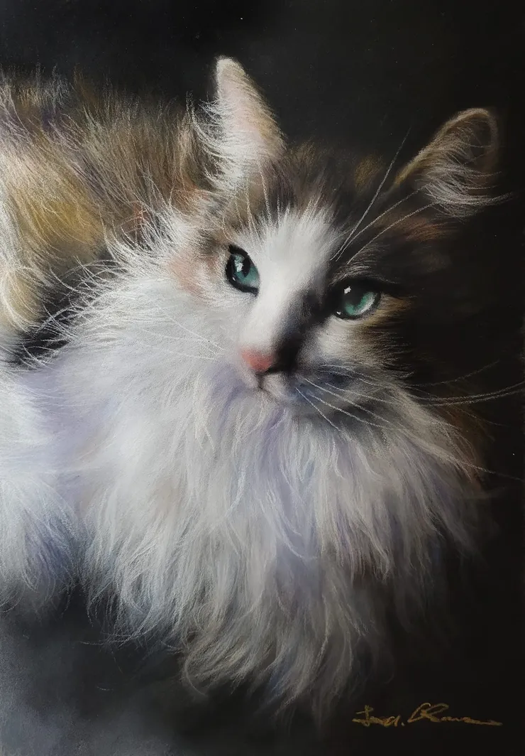 沉思的貓 (媒材 : 粉彩)