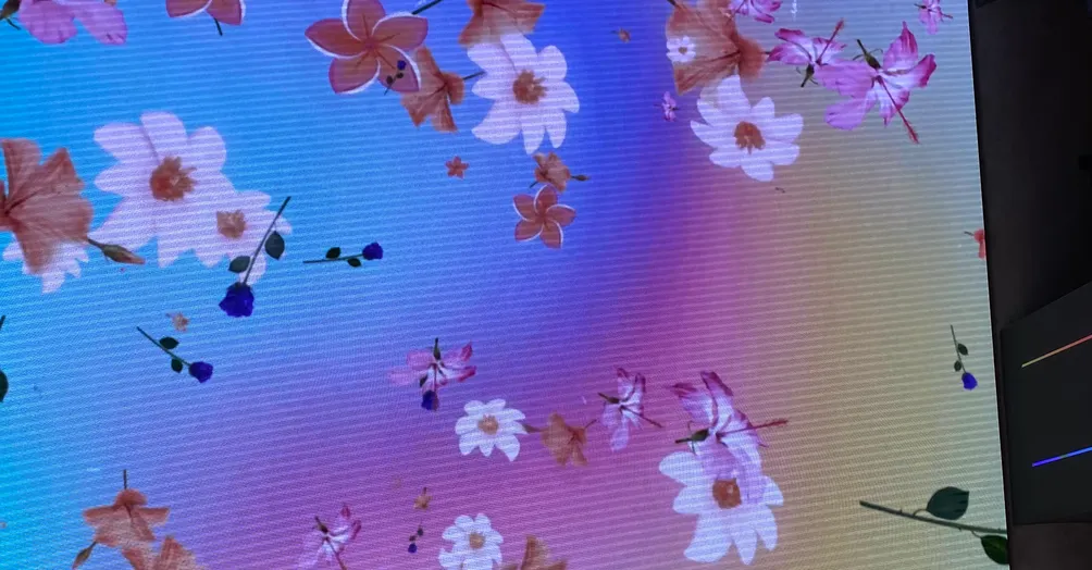 🛍️莎莎逛逛街sasagogoshopping