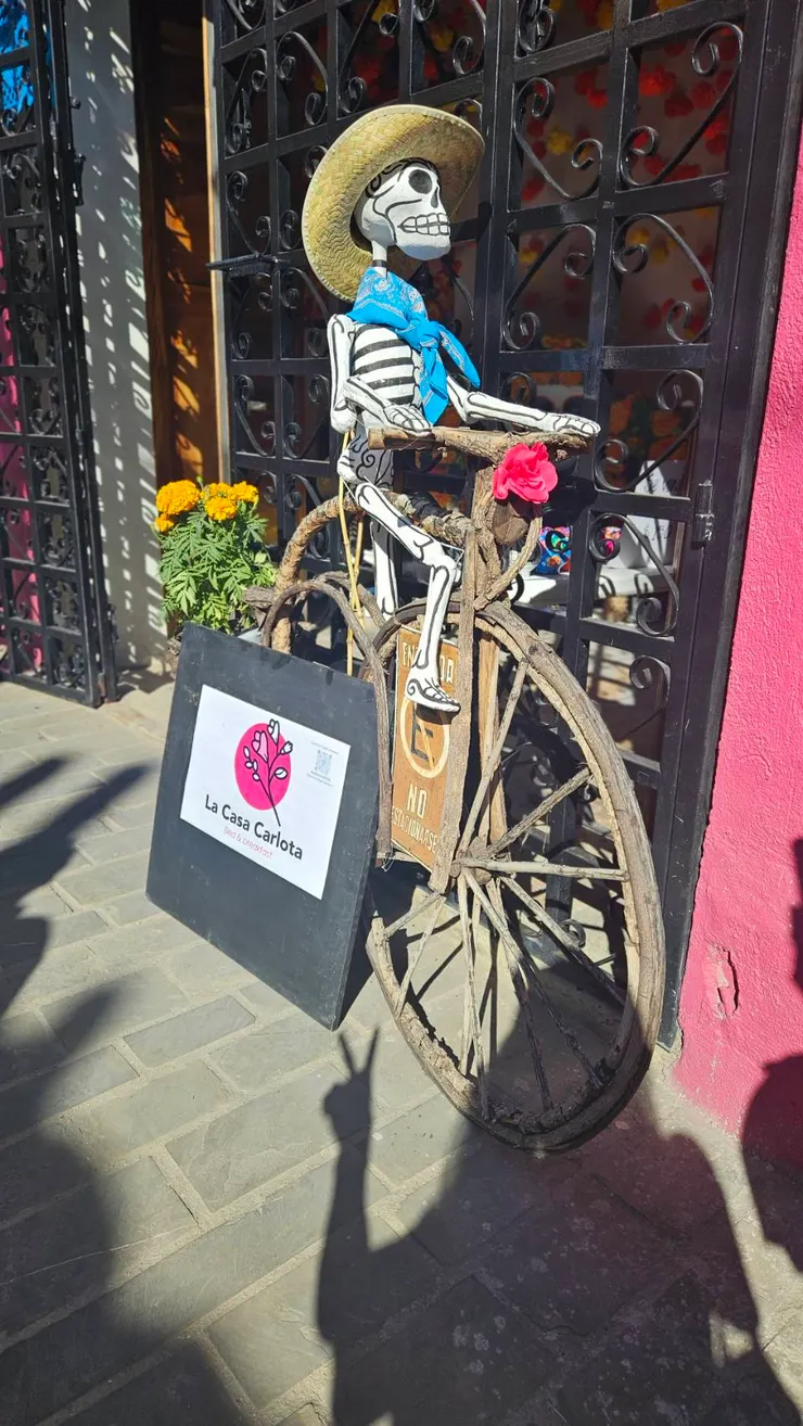 一個人很自在， 可惜只能拍這種照片 XD