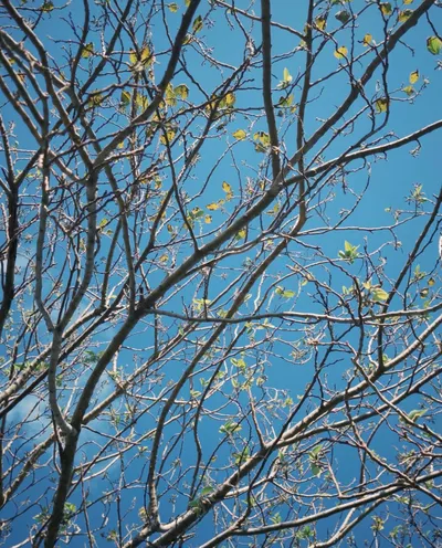 地球人的攝影帳