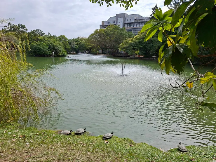岸與水之間(高于婷攝影)