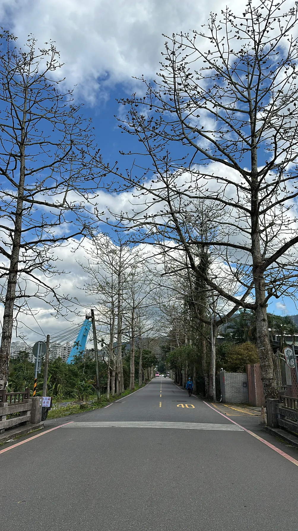 被踢踢的人生探索之旅🧳