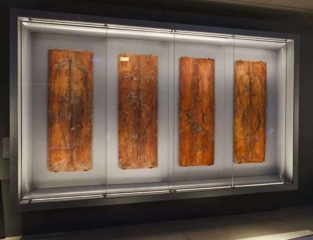 神經做成的桌子 / https://hunterianmuseum.org/whats-on/hunterian-museum-displays