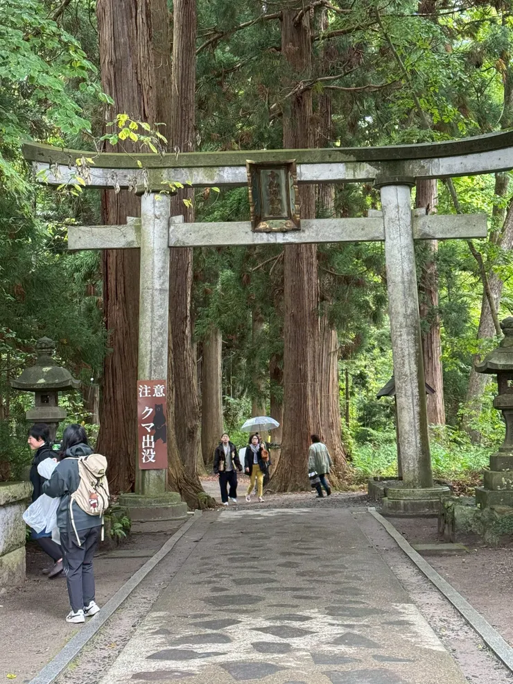 連十和田神社周遭都有熊出沒情報