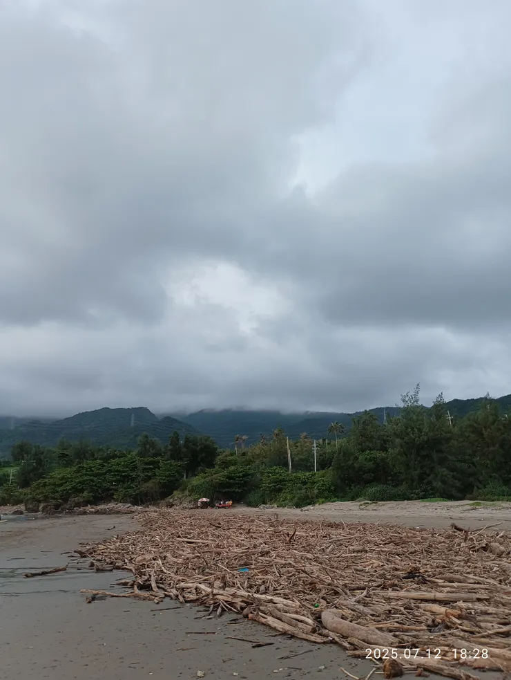 堤畔狼藉不忍看