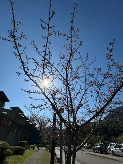 邁向自我整合的英雄之路