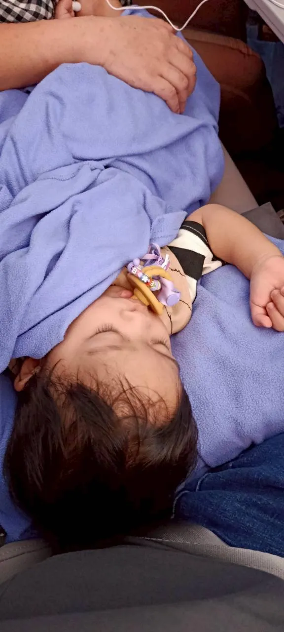 珍豬終於睡著了🤣