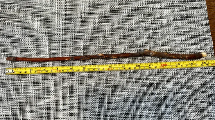 裁好的樹枝，設定15英寸