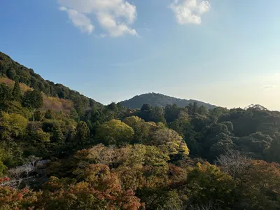 魚兒の生活手札