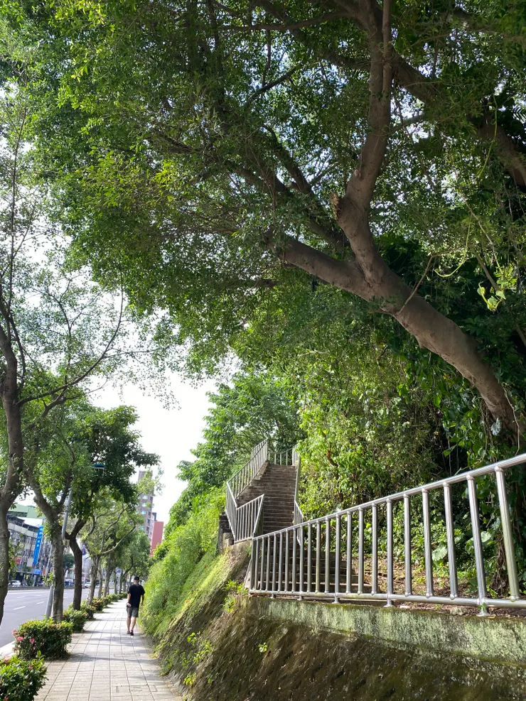 沿著蟾蜍山壁往圓環方向走