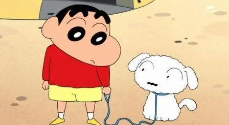 圖片內容轉載自網路