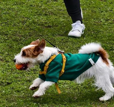 Gabriel x Jimmy x ??