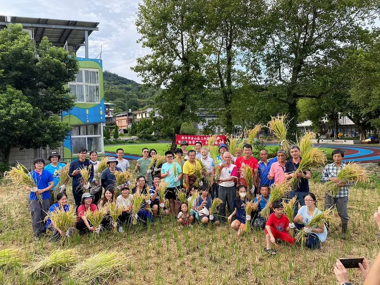 三和國小師生連同家長一起下田割稻。三和國小提供。