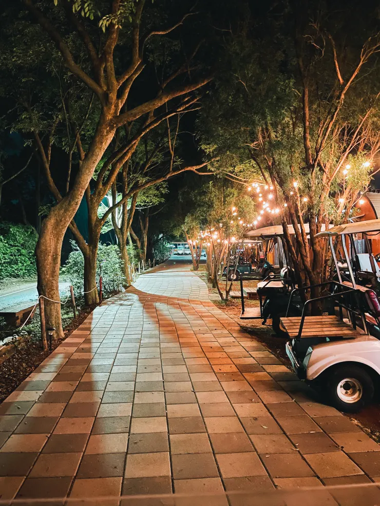 晚上在園區內開電動車兜風，景色是另一種美~