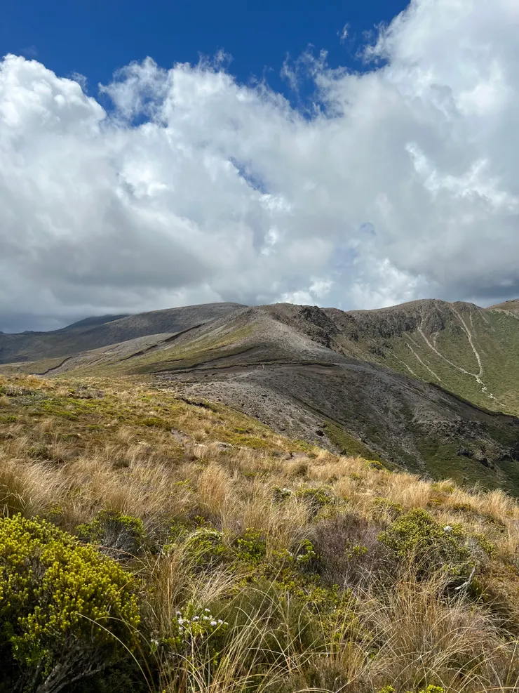 這條是走向Upper Tama Lake的意思......。
