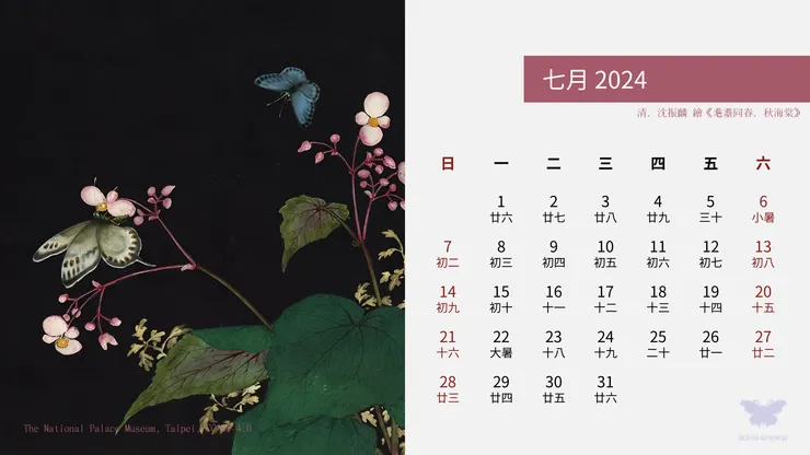 耄耋同春．秋海棠