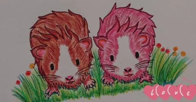 無論是不是一起往前行，都要活得精采快樂