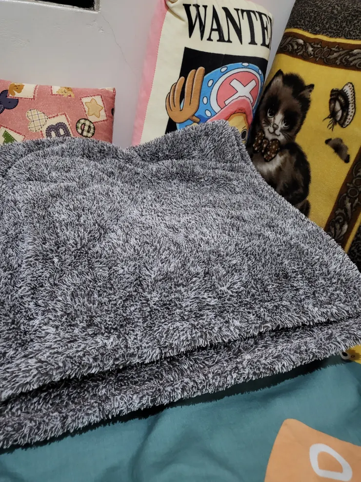 幻想著你還會來偷睡我的被