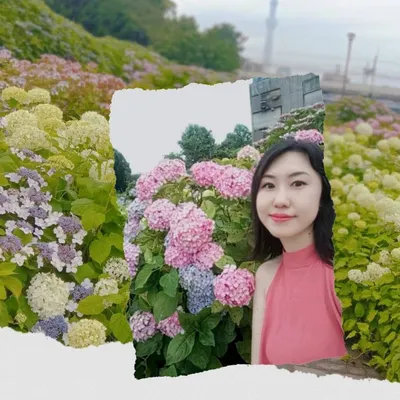 Vivianna Wu的沙龍