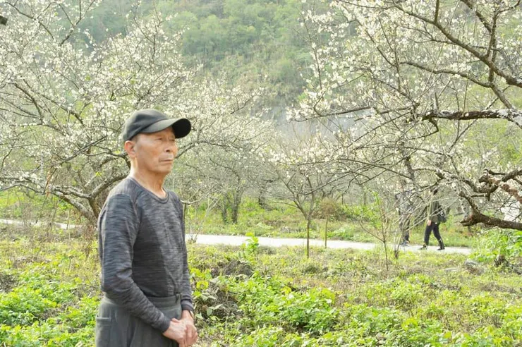 爸爸來讓我照顧時，我們帶著喜歡戶外山林的父親出門走走╴攝於南橫公路馬舒霍爾梅園