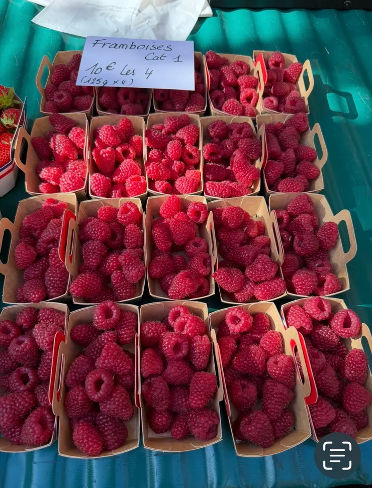 陽光下，覆盆子這樣的顏色，不能抗拒