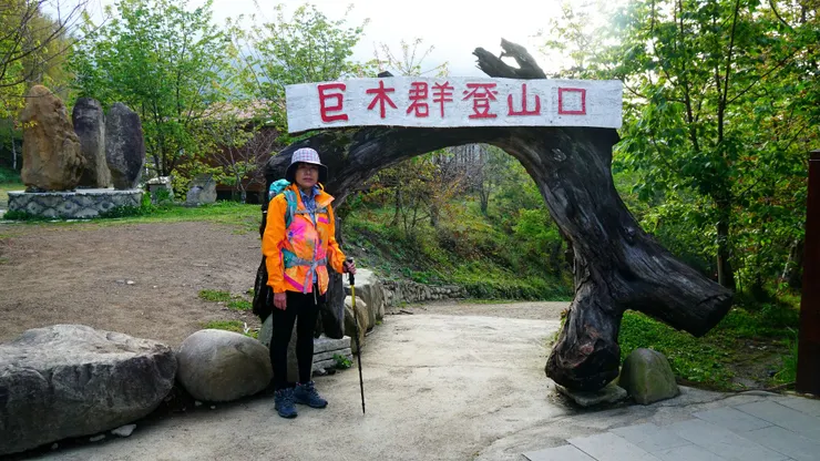 清晨的溫度有點ㄦ低~巨木群步道由此進入