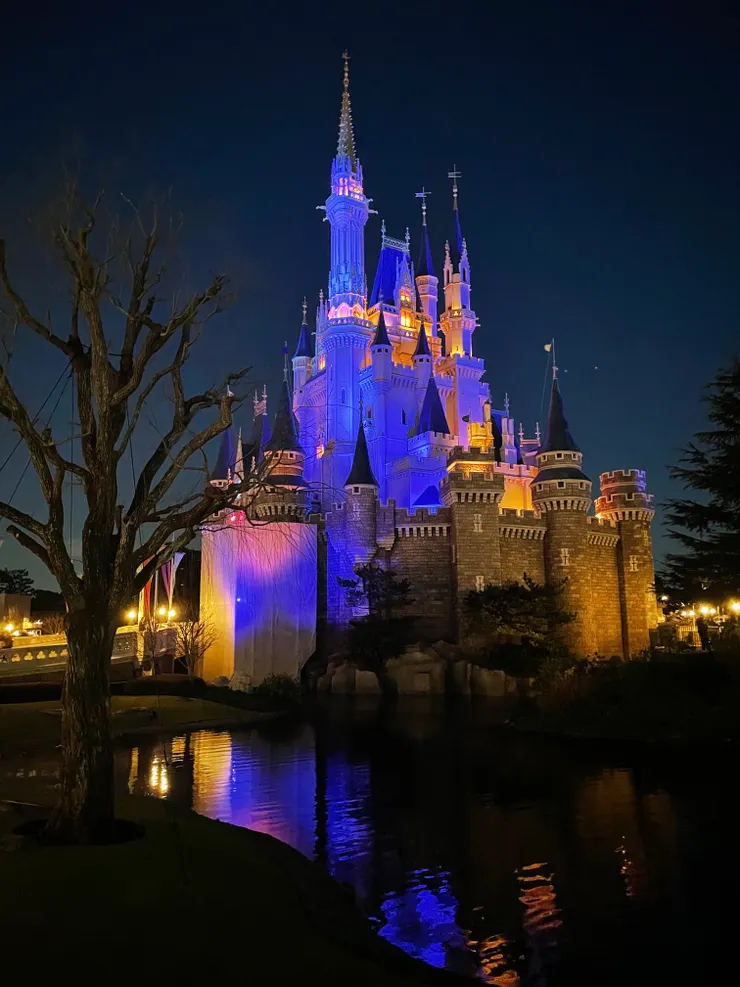 再見了迪士尼，希望明年再見