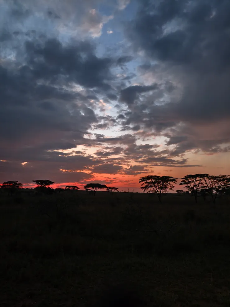 從不習慣, 到想回家, 到現在的想念.
