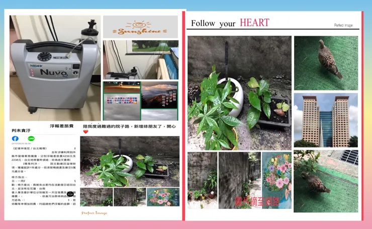 💕致每個受傷的您💕