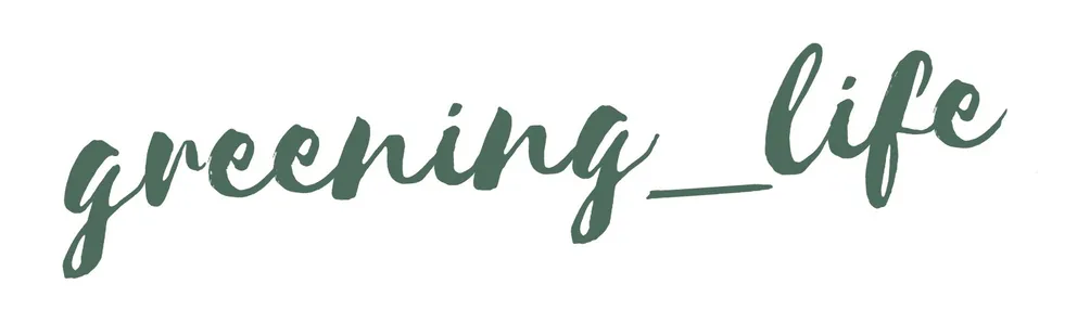 阿軒雜記的沙龍