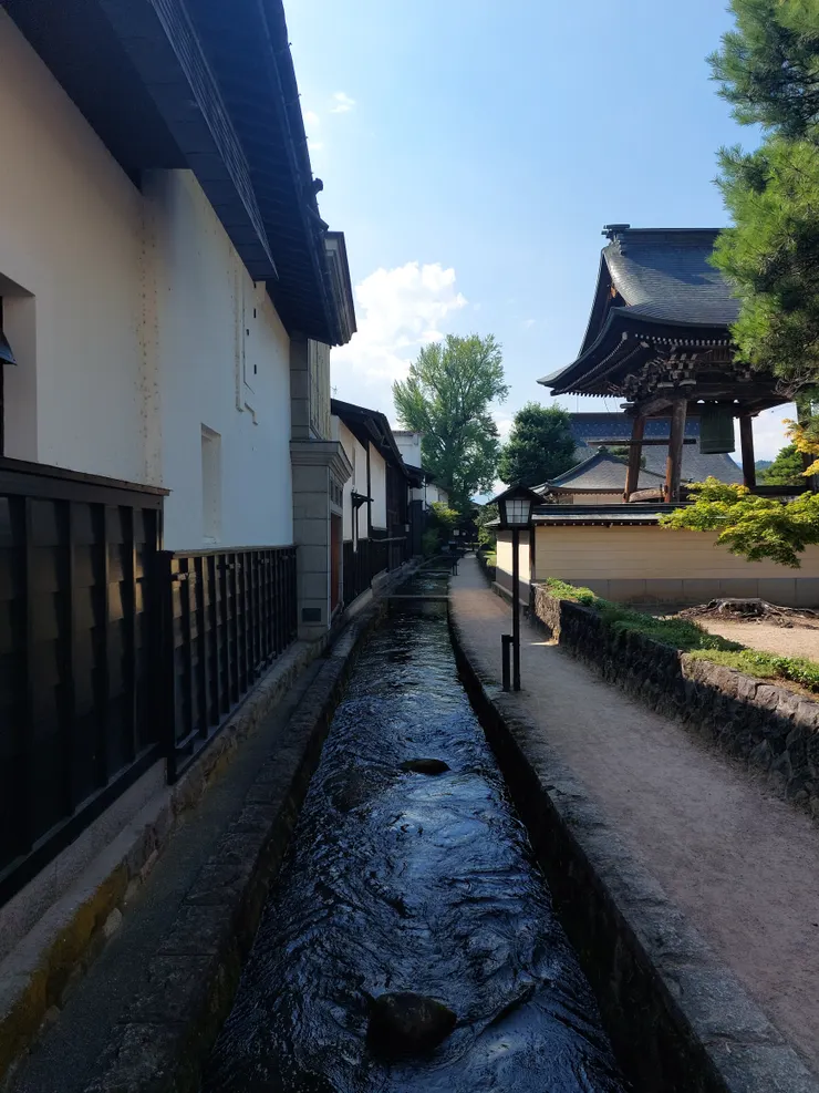 太好看了所以再拍一張~