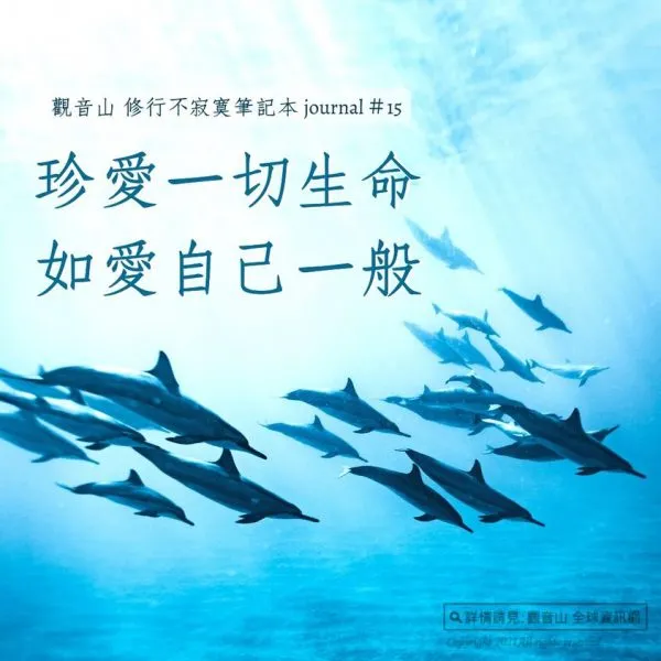 最實用母親節禮物~放生