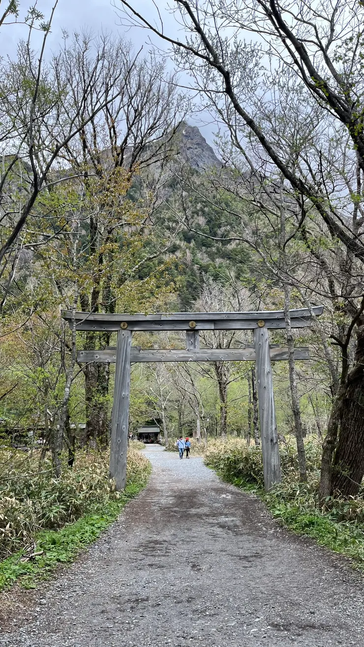木頭色的鳥居，跟背景很搭。
