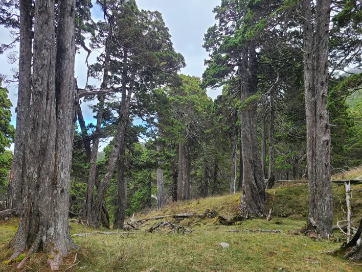 返程，回步道卸包處