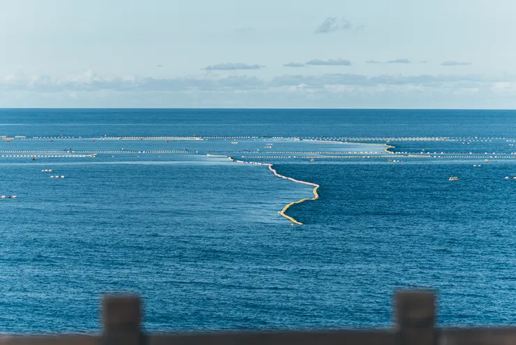花蓮「繁花盛開計畫」記錄十位在地行動者-洄遊吧-定置漁場