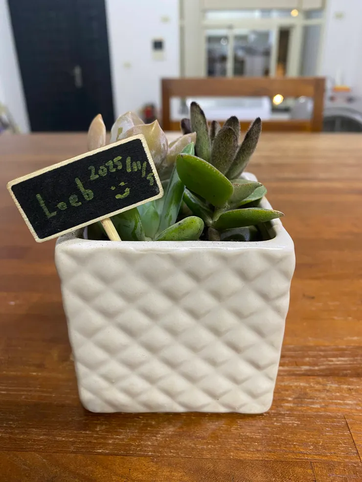 留意身邊美好的事物