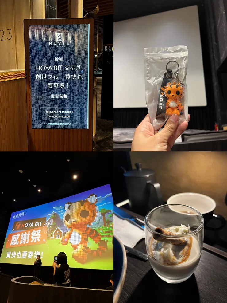 雙寶老爹006208定期定額全記錄，2025年05月