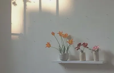 繁花推書