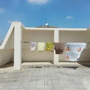 沙發上懶洋洋的貓的沙龍