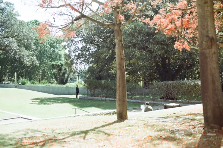 美景與吞雲吐霧的衝突