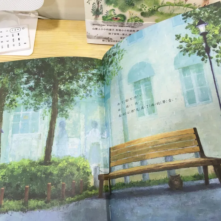 《沒有名字的貓》