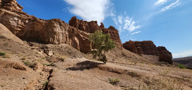 用手機拍攝又是另外一種感覺