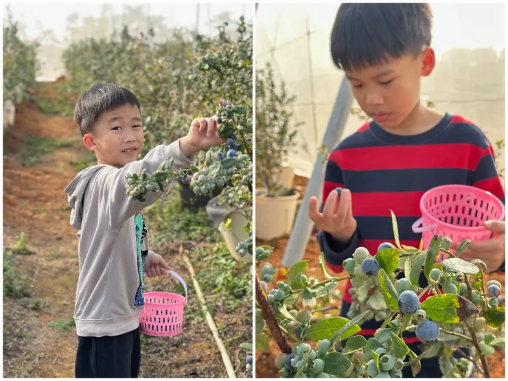 右邊是完美主義，左邊是樂天派，你家孩子是哪一種？