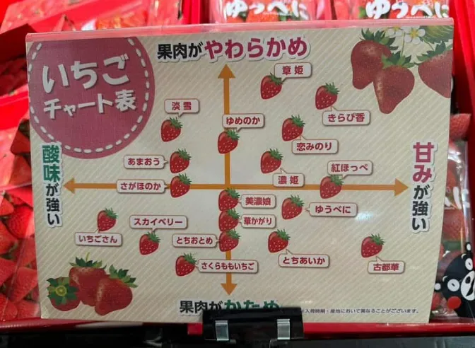 20+種日本草莓分享