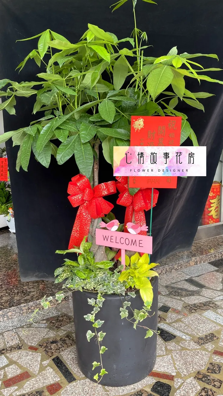 台南安南區花店【心情故事花房】：結合強健植栽的多樣化組合盆栽，為室內環境增添活力、美感與長久持續的健康生長