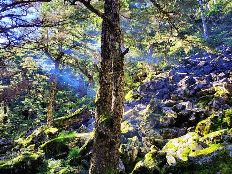 ▲清晨的陽光灑落在火石山下營地