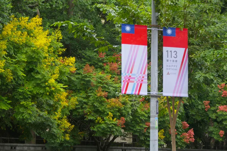 整體顏色看起來很美，黃色的台灣欒樹在背景點綴